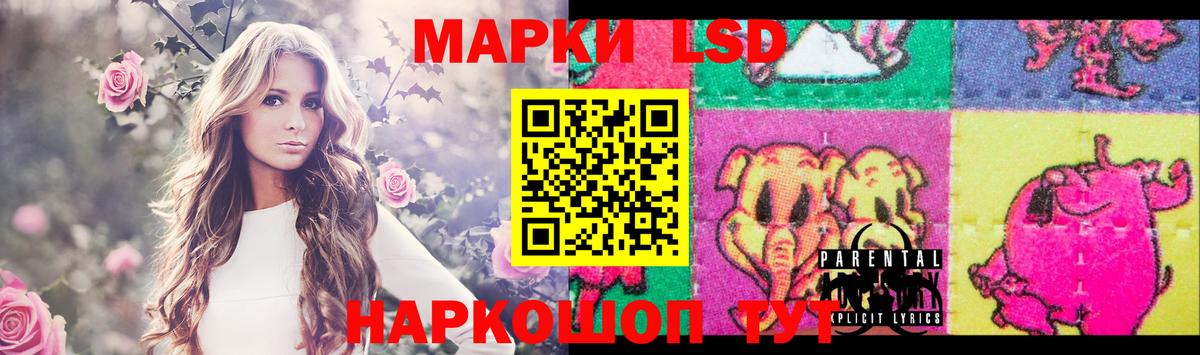 Шебекино  LSD-25 экстази кислота  Вход с VPN  Лсд 25 экстази ecstasy 
